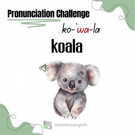 ဒီလိုအသံထွက်ပါတယ် #koala #pronunciation