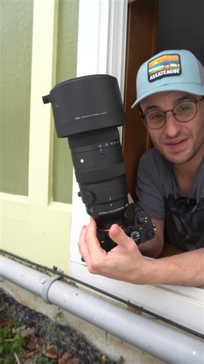 Capturing a Goldfinch in Flight
