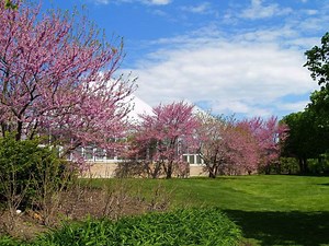 Apartments for Rent in 60062, Northbrook, IL with Doorman