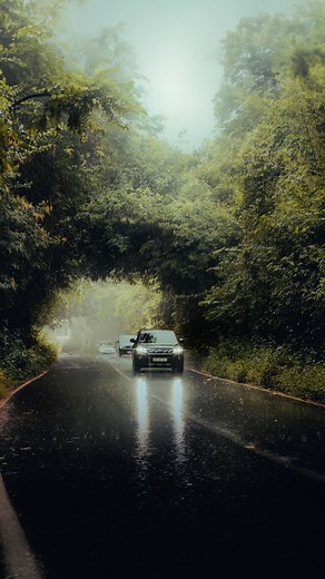 ᴅᴇᴠᴀɴ on Instagram: "Detailed masking Settings 👇🏻 Save this reel for later 📌 Follow for more ideas 🔎 Presets available in bio 🎨 Steps : Open lightroom mobile First Colorgrade the photo. Or apply any presets Then go to mask : 1. Linear gradient (Dark) (Making the ground areas darker) -Exposure -Blacks -Whites 2. Radial gradient (Bright) (To make the existing sun light more deep and dramatic ) +Exposure -Dehaze +Temperature -clarity 3. Select subject (If not working, You can use brush tool fo