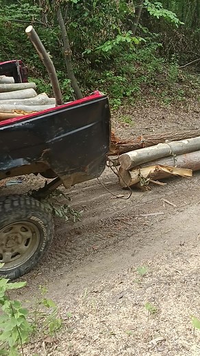 Logging Operations: Transporting Freshly Cut Tree Logs
