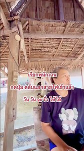 Cable splitter / Press to call staff