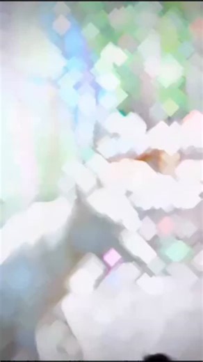 sai_deva_pet_shop_0491 on Instagram: "भागात टाॅप चा विशय म्हणजे साई देवा पेठ शाॅप वाले नाद करायचा नाही ✌️👑❤️💓 #instagram टिप आमच्याकडे सर्व प्रकारचे डाॅग कॅट बदक ससे शेळ्या कोबडी पाळिव प्राणी पक्षु पक्षी मिळेल #trendingreels आॅल महाराष्ट्र डिलेवरी पोसिबल ❤️❤️❤️❤️❤️❤️❤️❤️❤️❤️❤️ #viral #trending मो 9561562961 #new ❤️❤️❤️❤️❤️❤️❤️❤️❤️❤️❤️❤️❤️❤️❤️❤️❤️❤️❤️❤️❤️❤️❤️❤️❤️❤️❤️👑👑👑👑👑👑👑👑👑👑👑👑👑👑👑👑💓💓💓💓💓💓💓💓💓💓💓💓💓💓💓💓💓💓💓💓💓💓💓💓💓💓💓💓💓💓💓💓💓💓💓💓💓💓💓💓💓💓💓💓💓💓💓💓💓