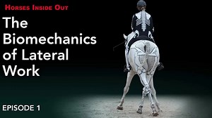 4.7K views · 51 reactions | Lateral movements require the horse to...