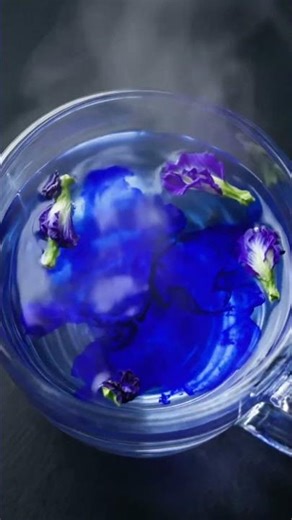 Magic Color-Changing Tea! 💙 Butterfly Pea Flower #Shorts #Tea