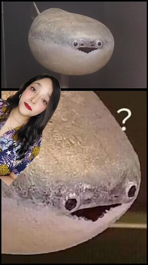 Sacabambaspis Fish: Fossil Facts, Prehistoric Data, and Marine Biology