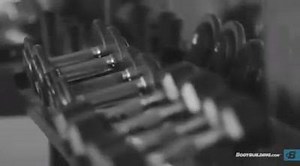 #FREAKMODE Mindset: Never Settle. Embrace the Struggle! Who's got the #FREAKMODE mind set? Use that mindset while following @mrrippedfreak 's 12-Week Fitness Plan on Bodybuilding.com (http://www.bodybuilding.com/fun/freakmode-alex-savva-12-week-fitness-plan) and achieve the best possible results that you can get! | PharmaFreak