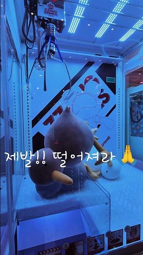 대형키위새 뽑기 도전 #인형뽑기 #인형뽑기도전 #인형뽑기투어 #clawmachine #대형키위새 #키위새인형 #대형인형뽑기 #김도그