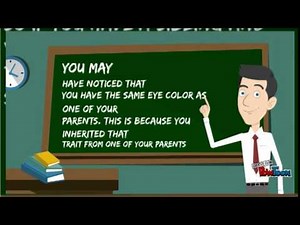 3rd Grade Heredity-Learning about traits