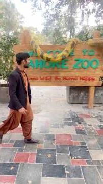 Lahore Zoo Minivlog | Lahore Zoo Tour & Animal Vibes #minivlog #ytshorts