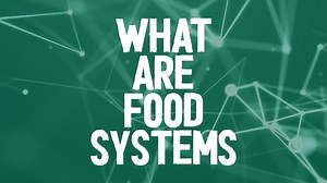 1.6K views · 39 reactions | WFP’s work promotes stronger & more inclusive #FoodSystems through: Cash-based transfers that boost local economies Projects encouraging better harvest management Resilience programmes that make communities less susceptible to food insecurity The stronger our food systems are, the stronger we all are against food insecurity and malnutrition.  | World Food Programme | Facebook