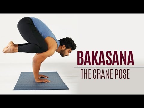 How to do Bakasana | Crane Pose | Yoga | Sitting Postures