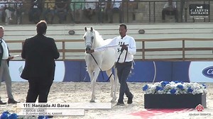 29K views · 882 reactions | The Egyptian Event Cairo 2024 (Class...