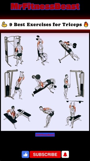 9 Best Exercises for Triceps at Gym 💪🔥 #TricepsWorkout #ArmWorkout #MuscleBuilding #TricepsExercises