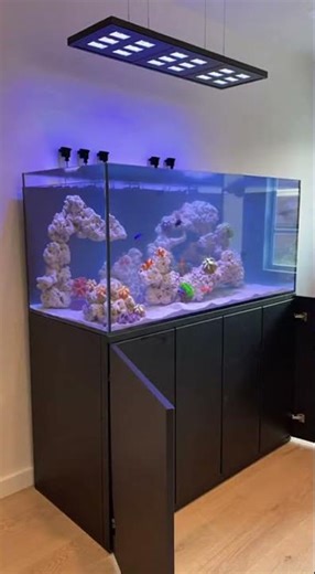 The entire process of aquarium landscaping