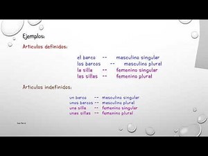 Los articulos definidos e indefinidos