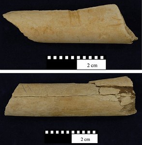 Oldest Stone Tools Found: Dikika, Ethiopia