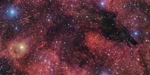 Scientists observe haunting face of 'dark wolf' in the depths of space