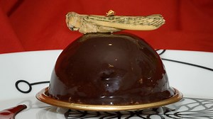 Why not eat insects?