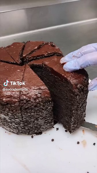 FAVORITE CHOCOLATE CAKE SLICE (top 3) 😍 Recipe to try a similar one at home below! Cake Ingredients: • 1 cup butter (about 16tbsp or 2 sticks) • 1/2 cup vegetable oil • 1 1/2 cups black coffee (brewed and hot) • 1 cup dutch process cocoa powder • 7oz dark chocolate (melted) • 1 cup lightly packed brown sugar • 1 cup white sugar • 6 eggs plus 2 yolks • 2 cups all purpose flour • 1 tbsp baking soda • 1 tbsp vanilla extract Buttercream Ingredients: • 5 cups powdered sugar • 3 sticks unsalted butte