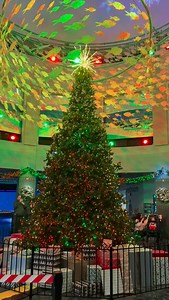 Christmas Underwater is o-fish-ally here! A big thanks to our Members for helping us start the season and light up the Christmas tree 🎄🎅 Now through Dec. 24, you can experience a holiday wonderland at Adventure Aquarium! Come see Scuba Santa, the world’s largest underwater Christmas tree, and so much more! | Adventure Aquarium