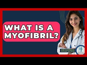 What Is A Myofibril? - Orthopedic Support Network