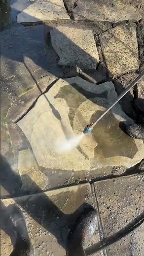 This Flagstone Was HIDING Under All That Grime 😳 Stone Patio Cleaning | Metro Detroit