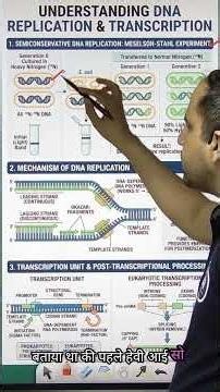 Molecular Basis of Inheritance in 3 Minutes 🧬 | Class 12 Biology Revision #biology #neet