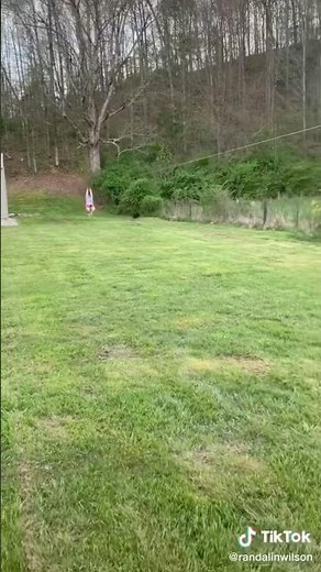 Zip line fail funny haha 🤣🤣￼