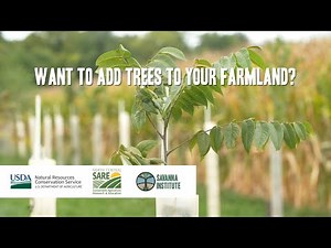 What Is Agroforestry? | Introduction