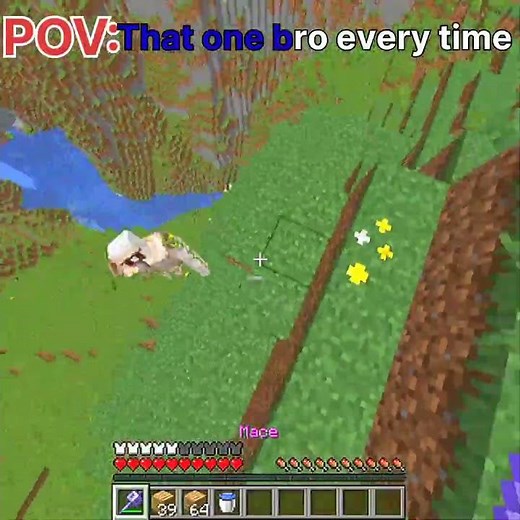 best minecraft #minecraftgameplay #minecraftgaming #memes #dhurandharb minecraft pillager moment