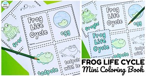 Printable Mini Frog Life Cycle Book for Kids