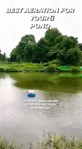 THE BEST AERATING SOLUTION FOR YOUR POND AT ONLY KSH.25,000 #pond #pondfishing #aerator #fountain #fishinglife | Maimun Fishing Tackles