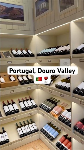 Discovering the magic of Portugal’s Douro Valley 🇵🇹🍷