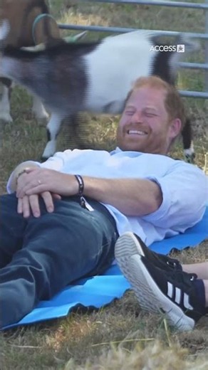 Prince Harry Gets Run Over By Goat