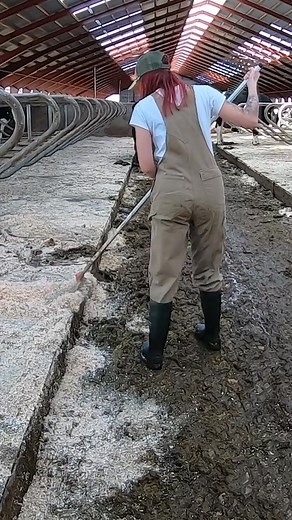 How a Beautiful Girl Cleans Cow Manure on the Farm ✨ | Farm Factory | Facebook