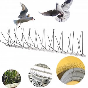 [Hot Item] Professional Manufacturer Anti Pigeon Spikes Bird Control Spikes