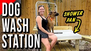 Deluxe Dog Wash Station with Plumbing and Ramp Access