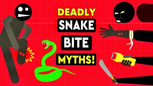 Big mistakes snake bite victims still make