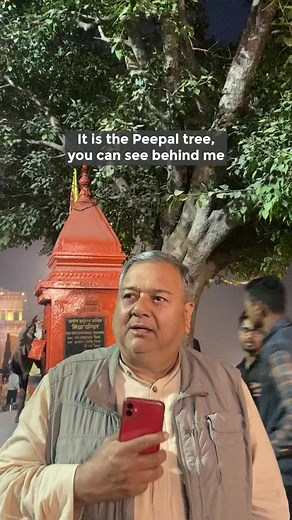 The Peepal tree is a symbol of Indian spirituality and culture | Peepal Baba