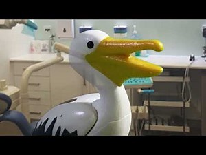 Finding Nemo 2.0 nigel tells nemo the story playmobil