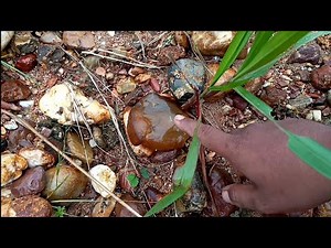 why i find a lot of very beautiful and interesting rocks here