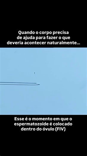 FIV: Preparo Essencial para a Fertilidade