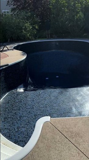 Latham Butterfly Disco Pearl Liner replacement in Nepean