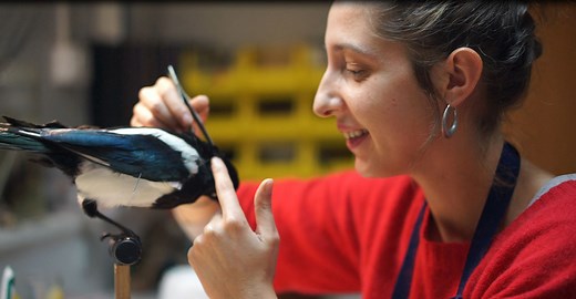 Métiers rares – CAP