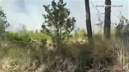 36K views · 193 reactions | The brush fire that broke out in Jay is...