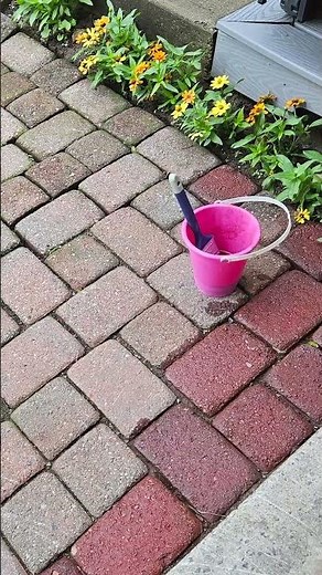 How to Make Concrete Pavers Look Natural | Pro Staining Tip + Easter Sale