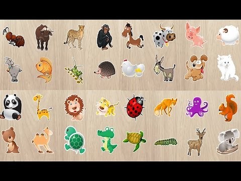 Learn Animal Educational Cartoon for Kids Puzzles Game