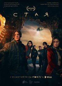 Сериал Стая (2022)  смотреть онлайн бесплатно!