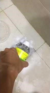 How to Get Rid Of the Pesty Drain Flies in your Shower and Kitchen Effectively